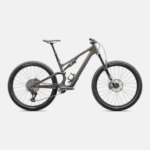 Bicycle and accessory: Stumpjumper 15 Expert