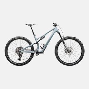 Bicycle and accessory: Stumpjumper 15 Comp