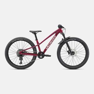 Bicycle and accessory: Riprock Expert 24