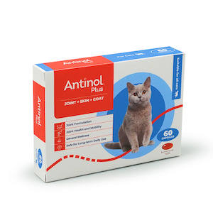 Health supplement: Antinol® Plus For Cats