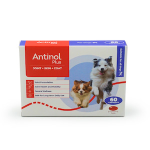 Health supplement: Antinol® Plus For Dogs