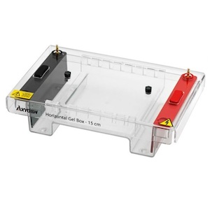 Axygen® Horizontal Gel Boxes – Mediscope