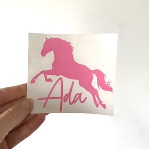 Horse Lunch Box Decal