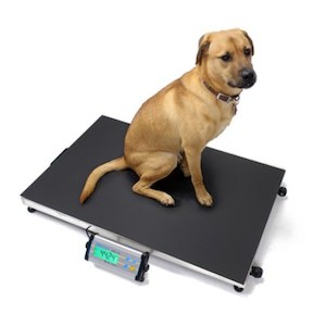 MCSM Adam Equipment Animal Scale