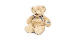 Products: Arthur Musical Teddy Bear for Dementia with Hard Drive