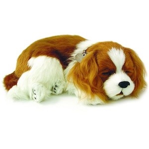 Perfect Petzzz Cavalier King Charles Bundle