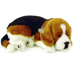 Perfect Petzzz Beagle Bundle