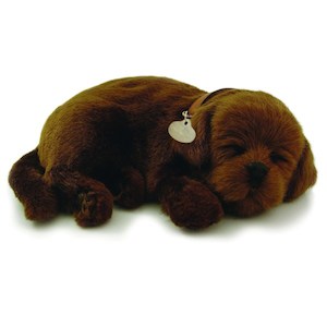 Perfect Petzzz Chocolate Lab Bundle