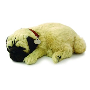 Perfect Petzzz Pug Bundle