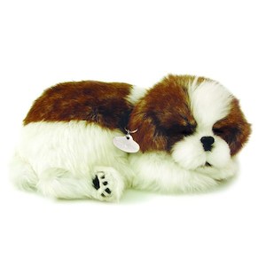 Perfect Petzzz Shih Tzu Bundle