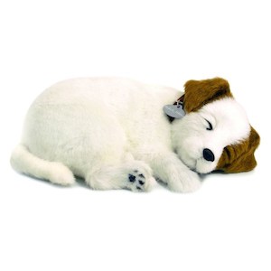 Products: Perfect Petzzz Jack Russell Bundle