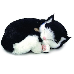 Perfect Petzzz Black & White Shorthair Cat Bundle