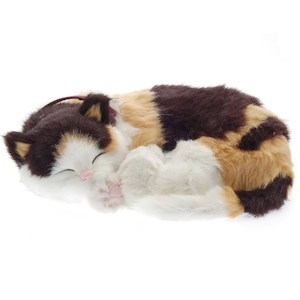 Products: Perfect Petzzz Calico Kitten Bundle