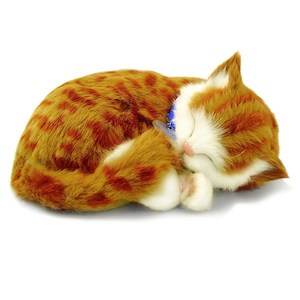 Perfect Petzzz Orange Tabby Bundle