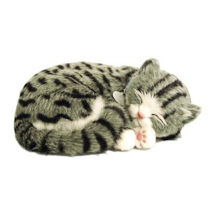 Perfect Petzzz Grey Tabby Bundle