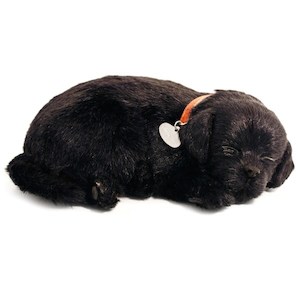 Perfect Petzzz Black Lab Bundle