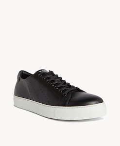 Footwear: Darwin Sneaker Online Merchant 1948