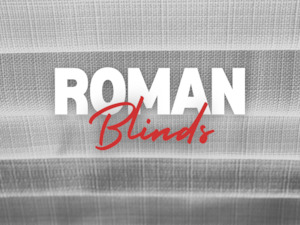 Beginners Roman Blind Class