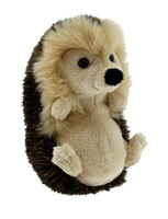 Hailey Hedgehog