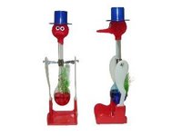 Drinking Bird