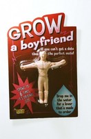 Grow Your Own Boyfriend