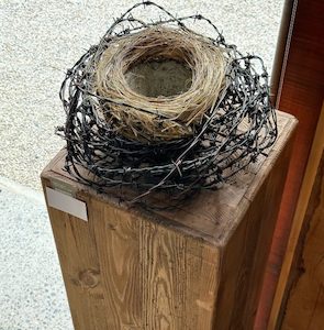 Treasure thy Nest 1 Sculpture