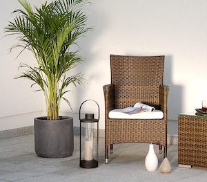 PE Rattan outdoor Victory Dining Chair*Special*