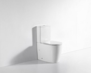 Back to Wall Toilet Suite Gloss White - Soft-Closing - Quick Release - Top/Bottom Entry