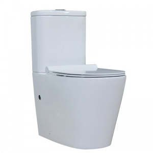 Household appliance: Toilet Michelle, Siphonic Flush