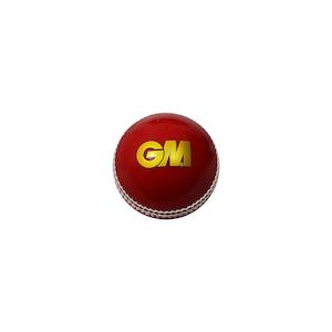 Sporting equipment: GM Skill Cricket Ball - Training Ball