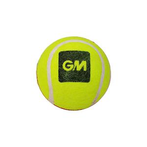 GM Swing King Cricket Ball (Red/Yellow)