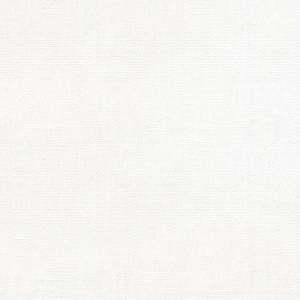 Internet only: Devonstone Linen Cotton Solid ~ DV4101 white