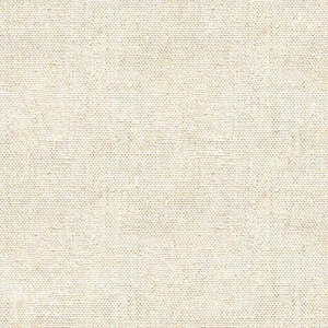 Devonstone Linen Cotton Solid ~ DV4100 Natural colour