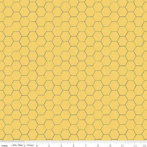 Internet only: Honey Bee~Honeycomb