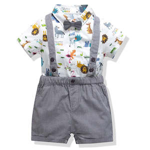 Baby Boys Clothing set Party Wear