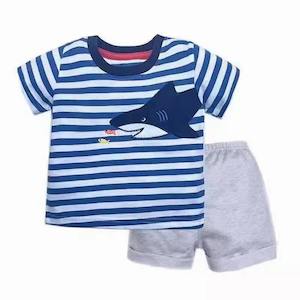 Boys Summer Clothing Set