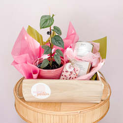 Florist: Philo Mamei | Candle Gift Pack