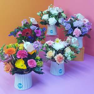 Florist: Ceramic Pot Arrangement - Choose Your Colour