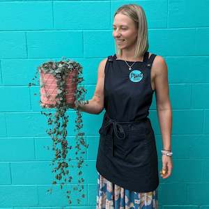 Florist: Large Chain of Hearts Plant in Coral Ceramic Pot