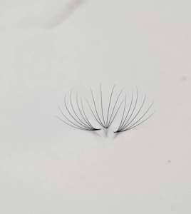 Eyelash Extension  6D Camellia Premade Fans D curl