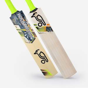 Footwear: Beast Pro 9.0 Junior Cricket Bat