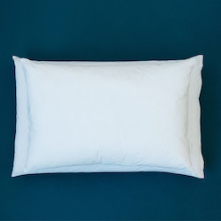 Specials: Pillow Cover - Lodge - SECOND - Save!