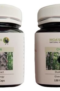 Specialised food: Chaga