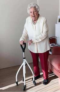 Wheeleo One-Hand Walker