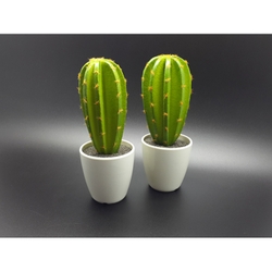 Cactus set h - 2pc