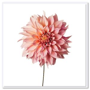 Card - Pink Dahlia