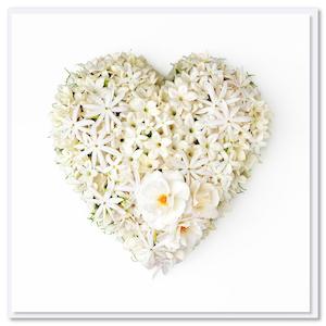 Card - Stephanotis Heart