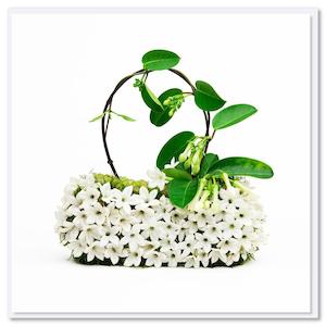 Florist: Card - Stephanotis Bag