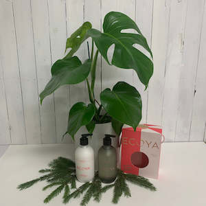 Monstera & Ecoya Body Duo Gift Bundle