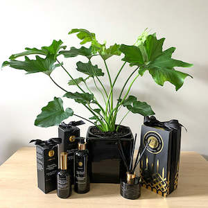 Philodendron Hope + Surmanti Gift Bundle- a long lasting gift for any occasion